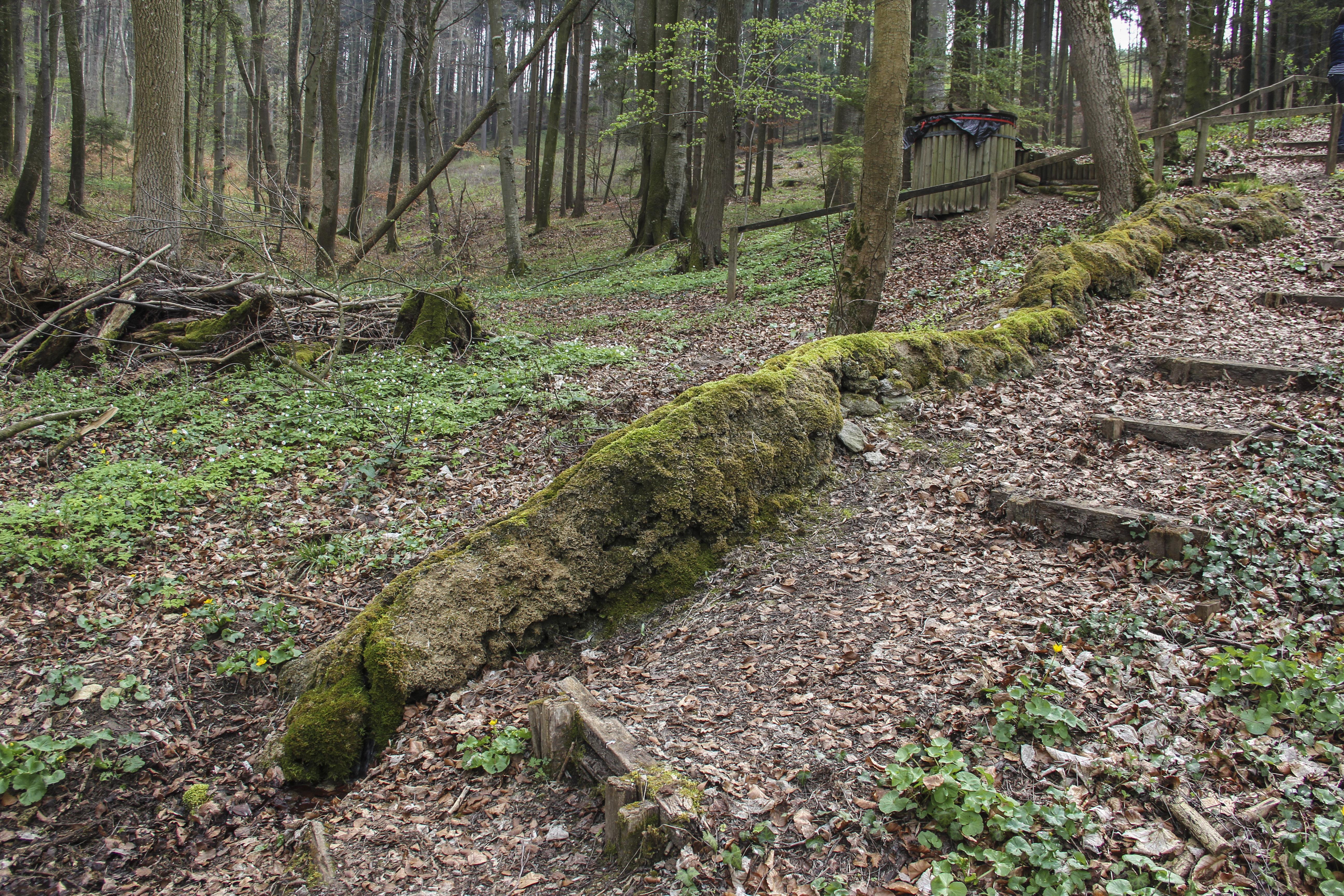 Steinerne Rinne bei Hechlingen
