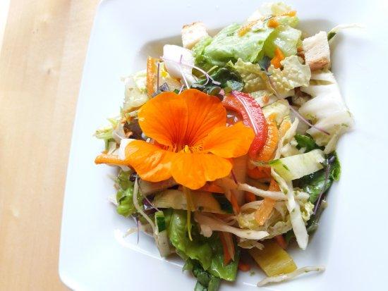 Gasthof & Hotel Aggenstein